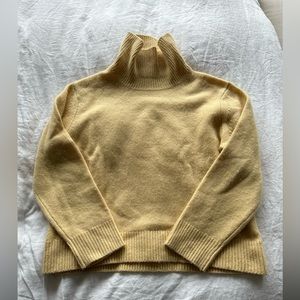 Wilfred cashmere turtleneck. Extra soft